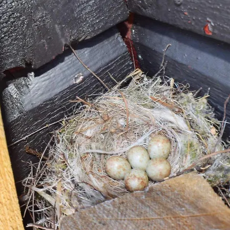 Casa de Férias 5 Person In Halden-by Traum