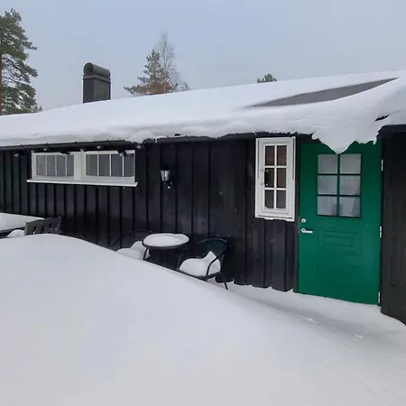 5 Person In Halden-by Traum *