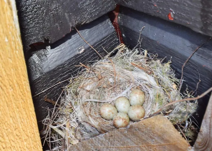 Feriehus 5 Person In Halden-by Traum